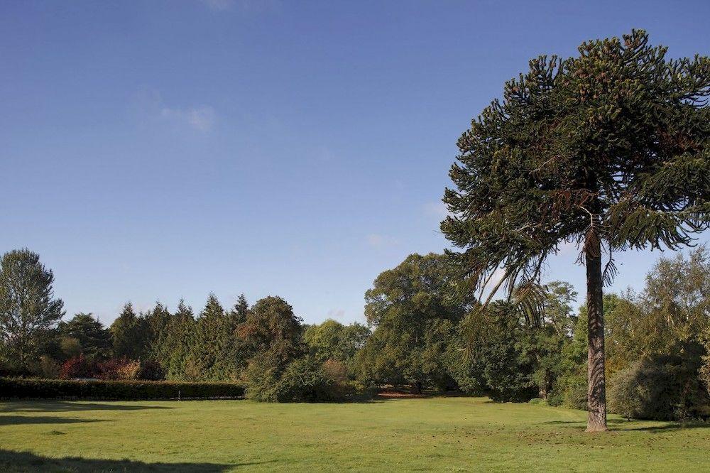 Hotel Woodland Grange Lillington  Exterior foto
